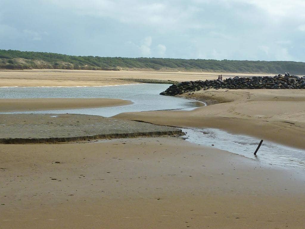 Vast Sand Dunes