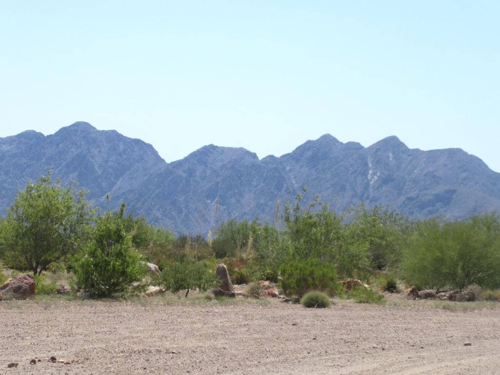 Boy Scout Trail