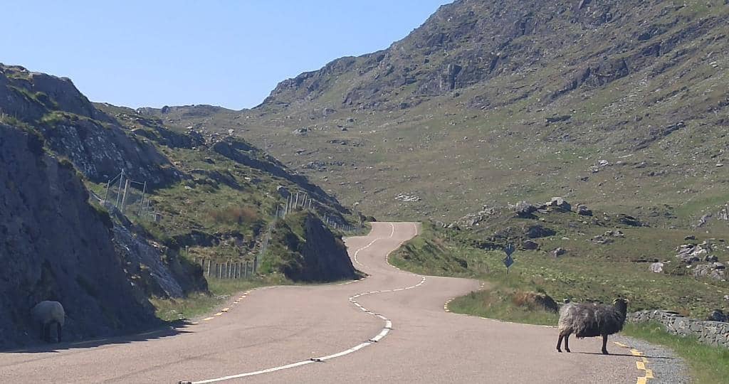 Panoramic Vista Point