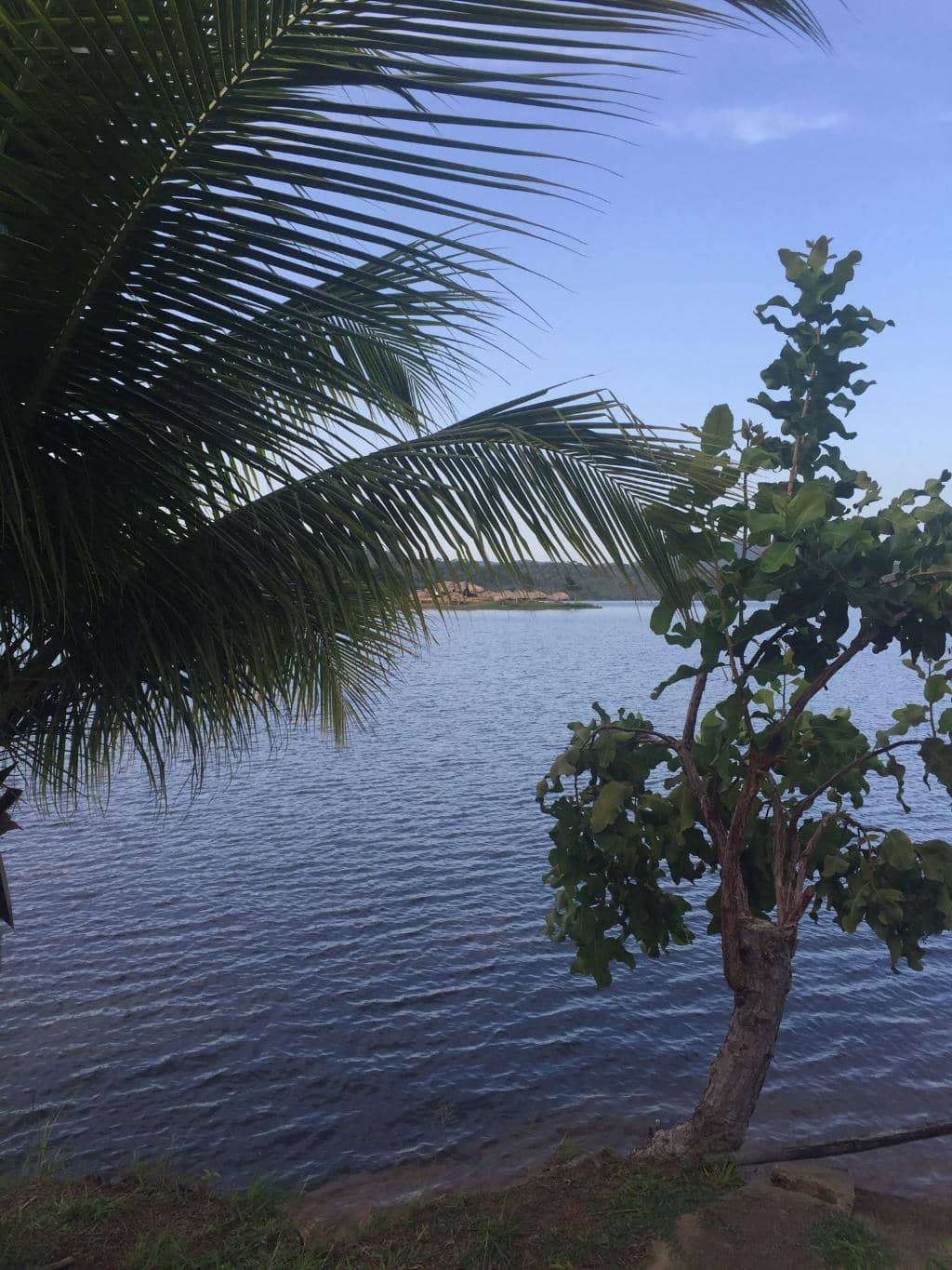 River Views