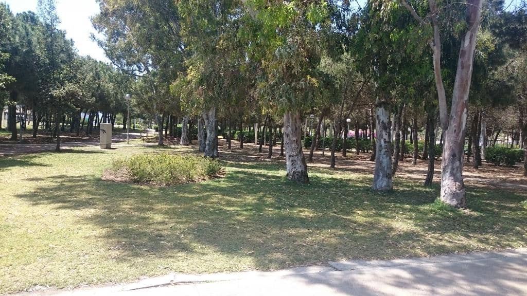 Children's Play Areas