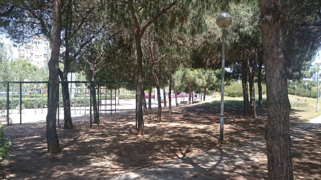 Basketball Courts