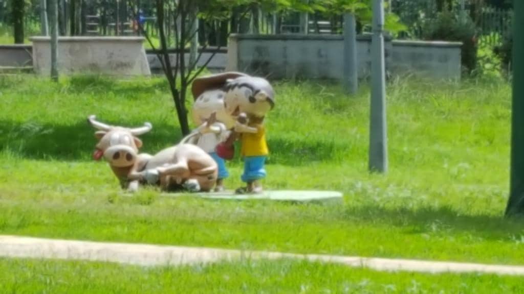 Drone Views of the Park