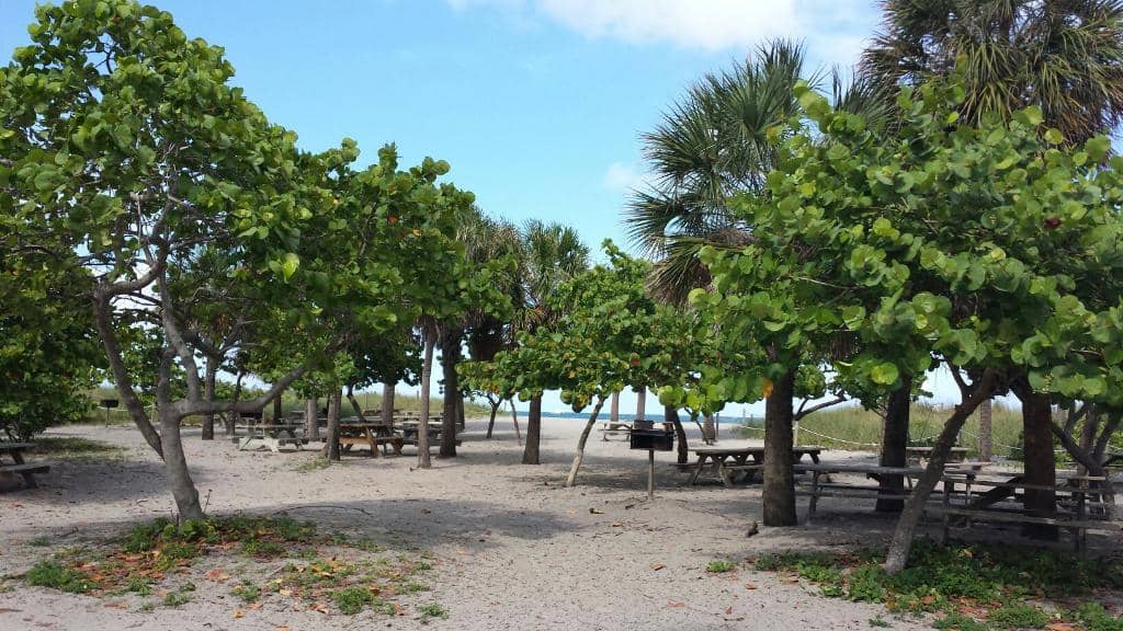 Intracoastal Wildlife Haven