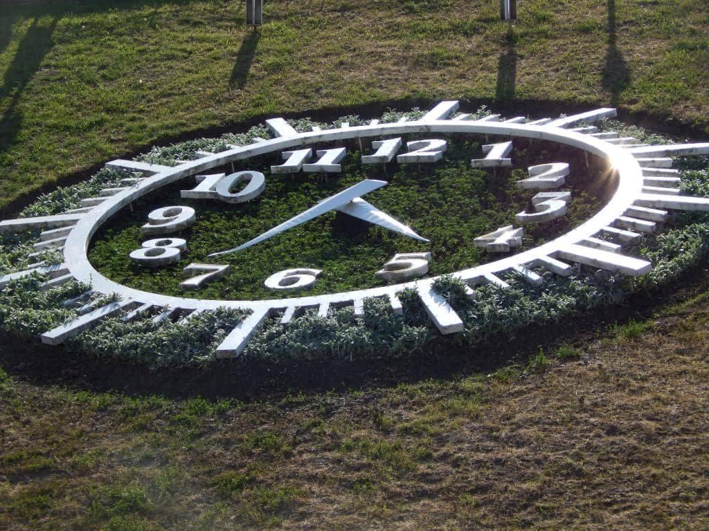 Lions' Bridge Guardianship