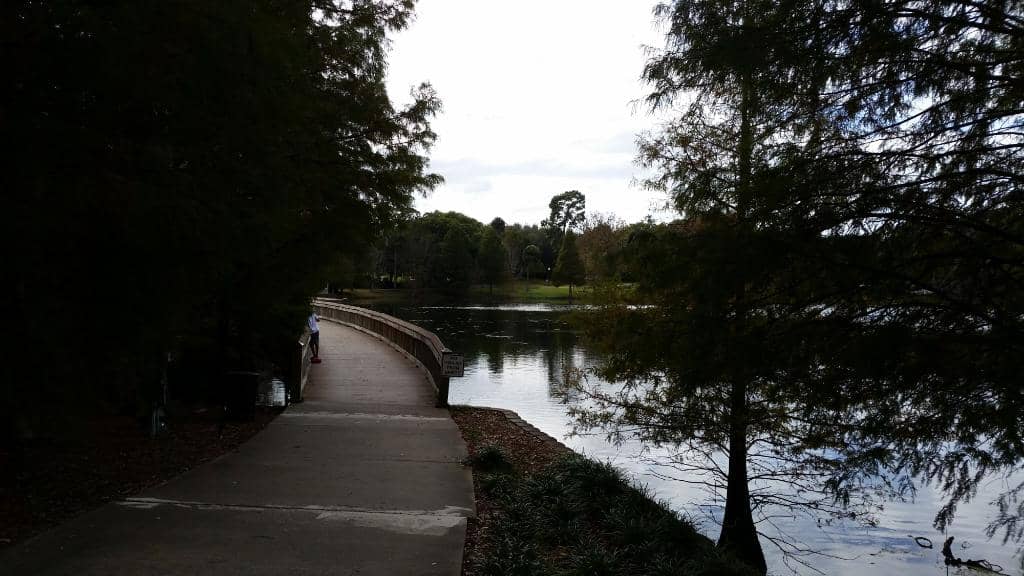 Gazebo Views