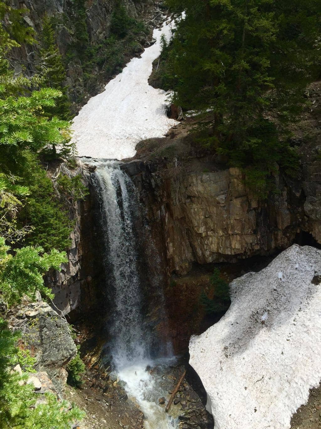 Vertical photo