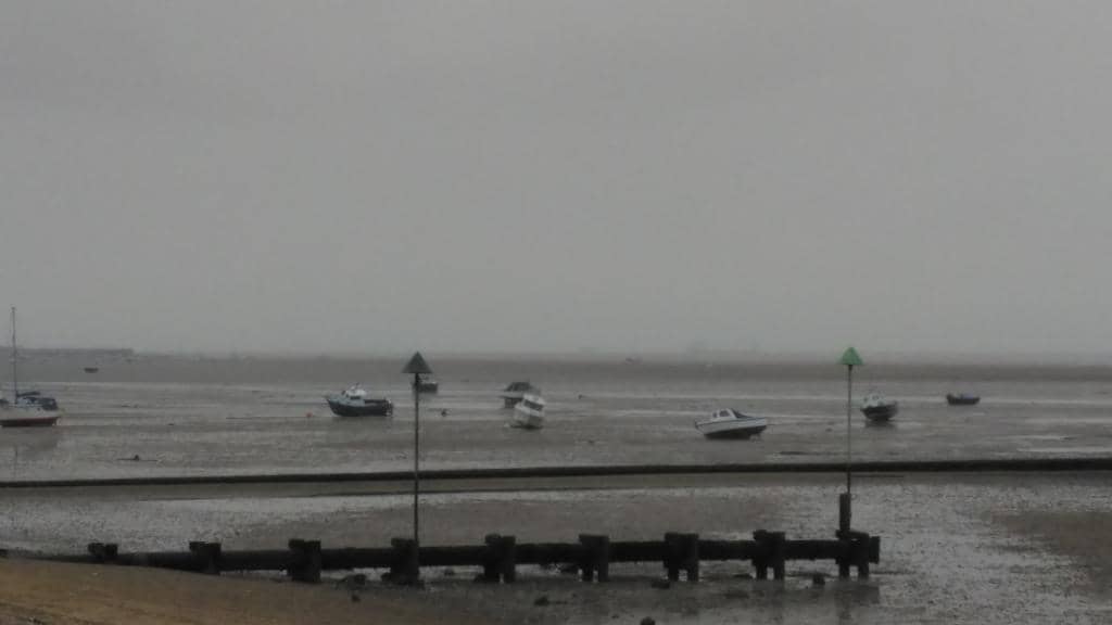 Golden Hour Serenity