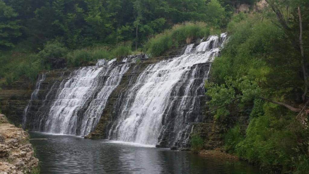 Wildflower and Wildlife Spotting