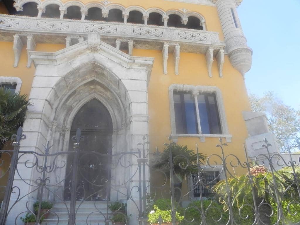 Forest Trek to Azoia