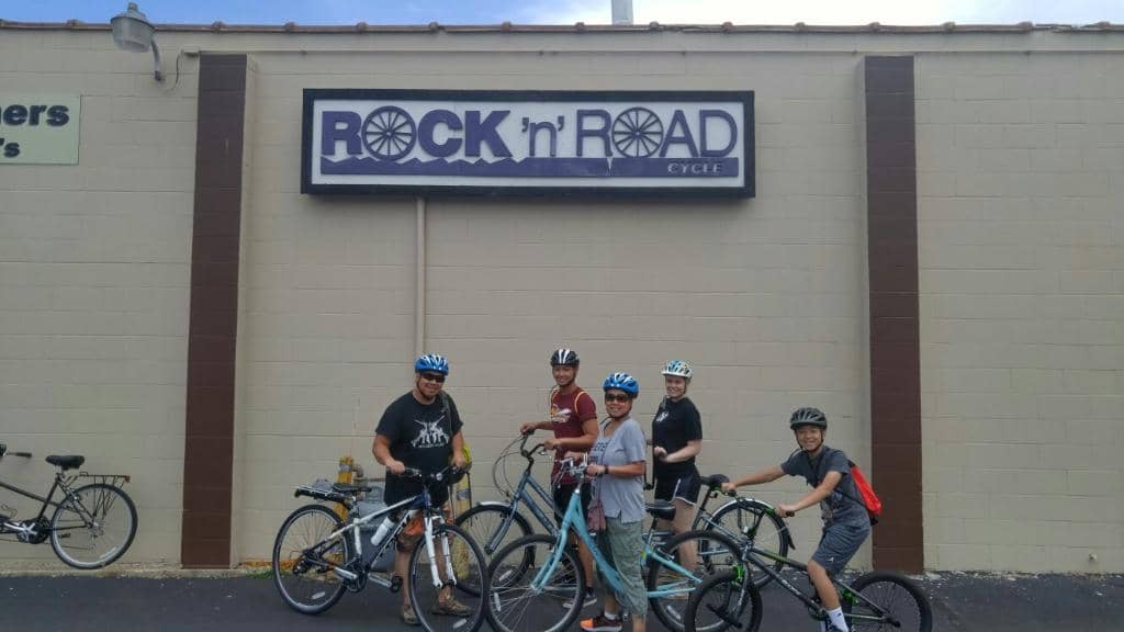 Peaceful Woodland Scenery