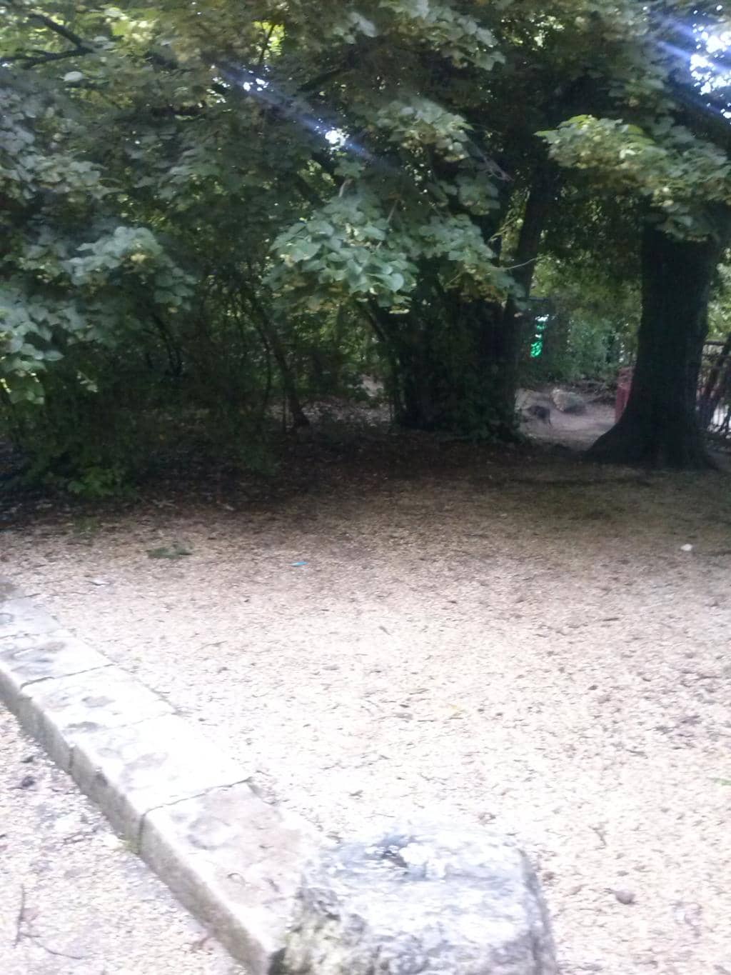 Outdoor Public Library