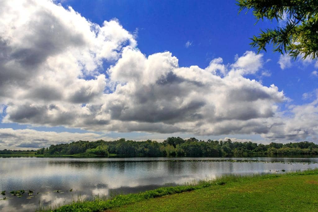 Park Ranger Themed Playground