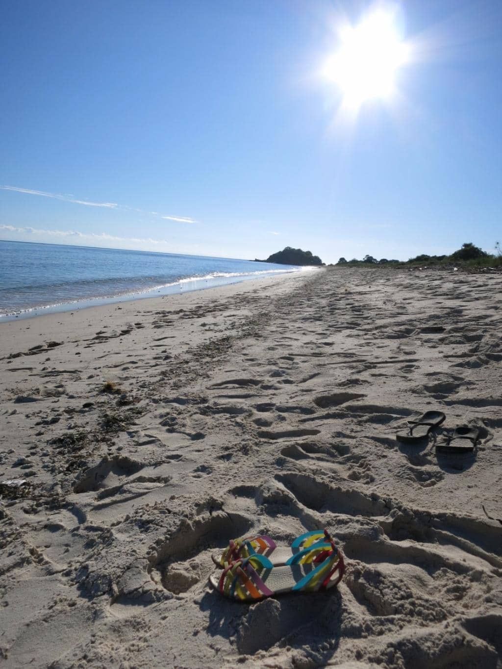 Snorkeling Opportunities