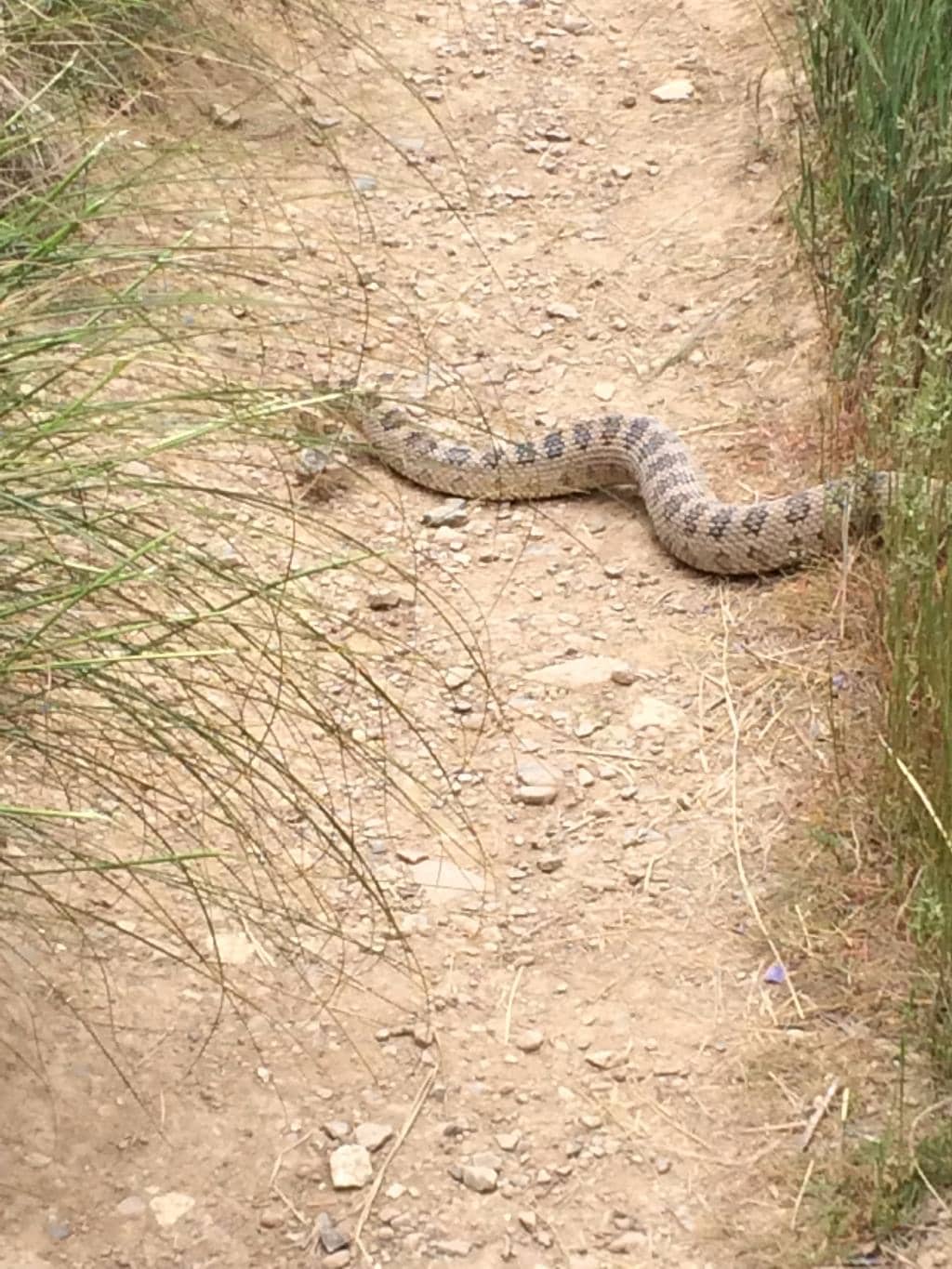 Spring Hollow Trail End