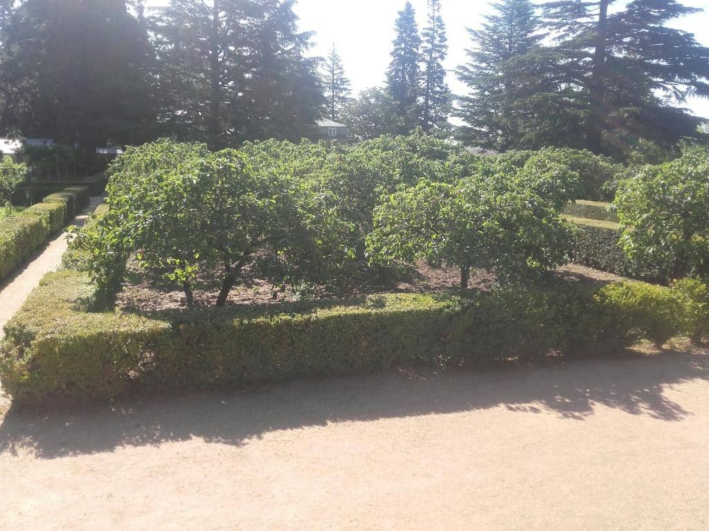 Tranquil Gardens