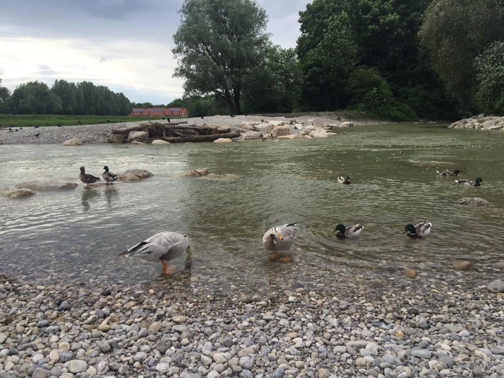 Isar Riverfront