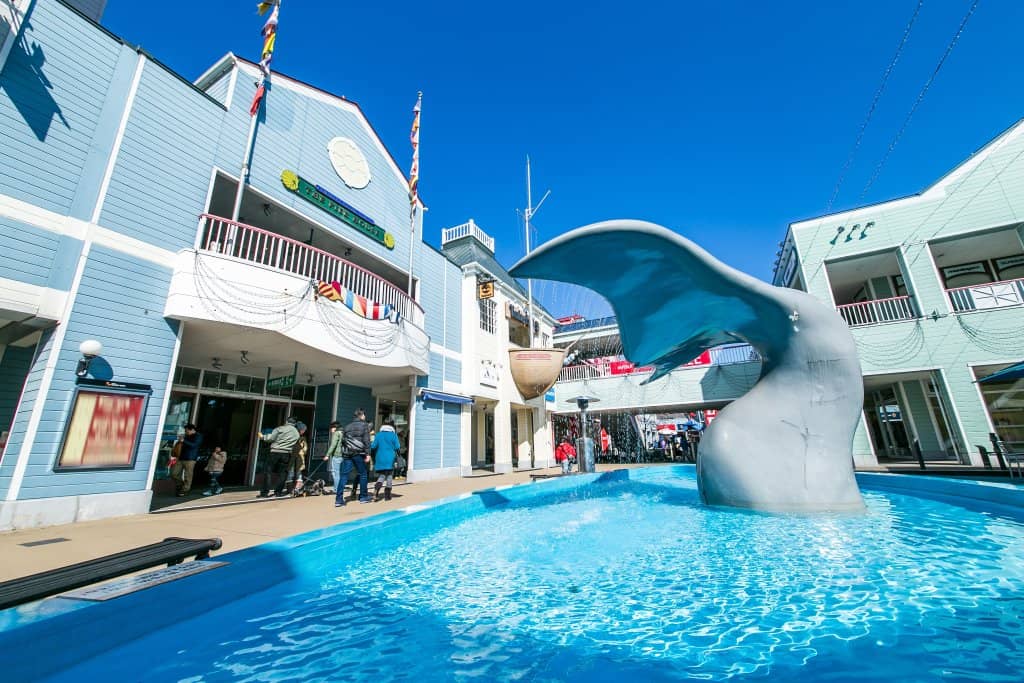 Seaside Marina Views
