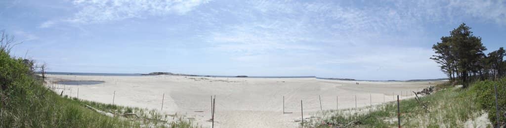 Fox Island Exploration