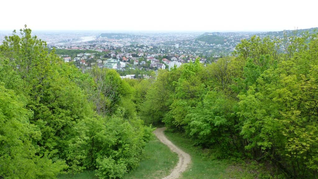 Vertical photo