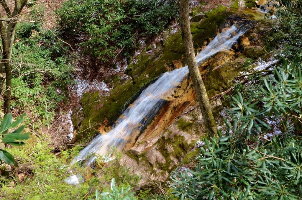 Vertical photo