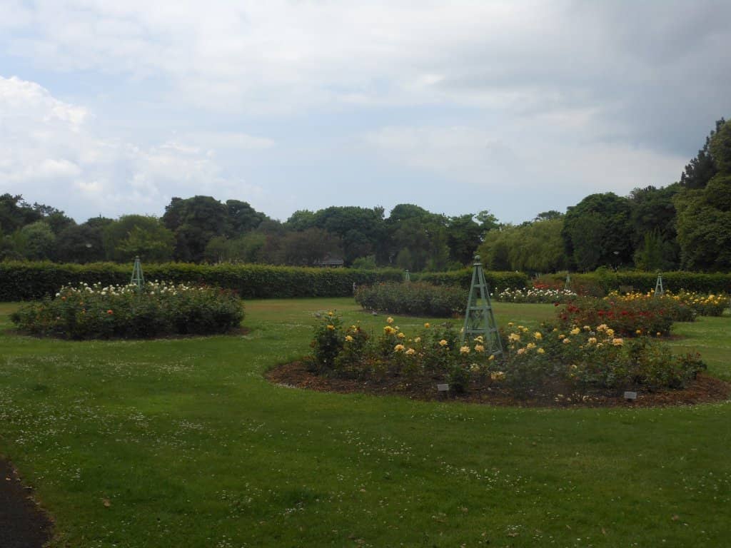 Children's Play Area