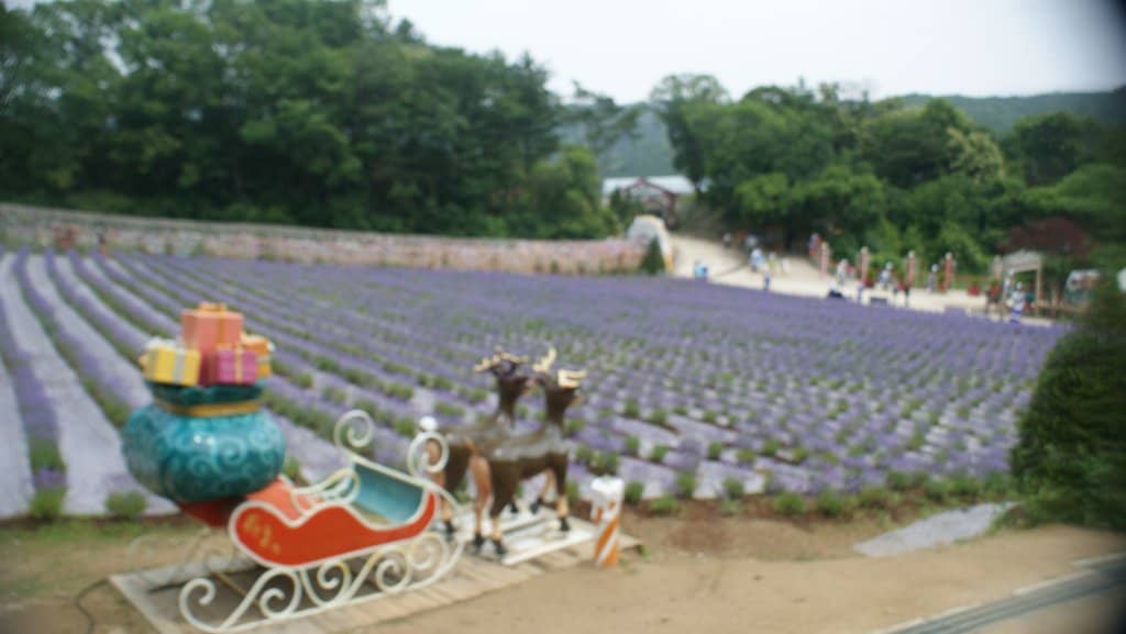 Themed Gardens & Attractions