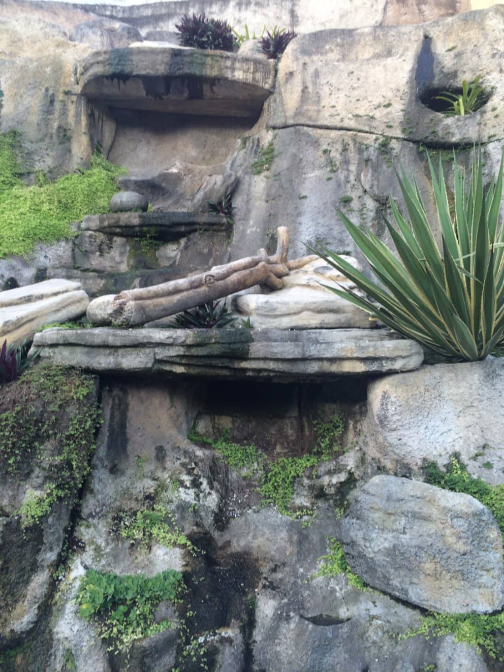 Tranquil Green Escape