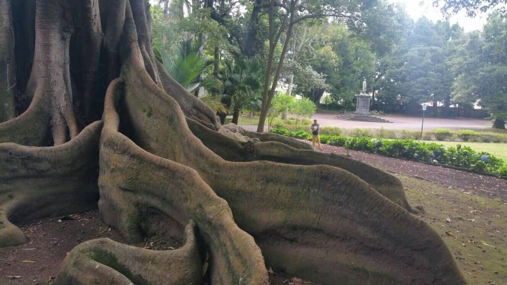 Jungle-Like Pathways