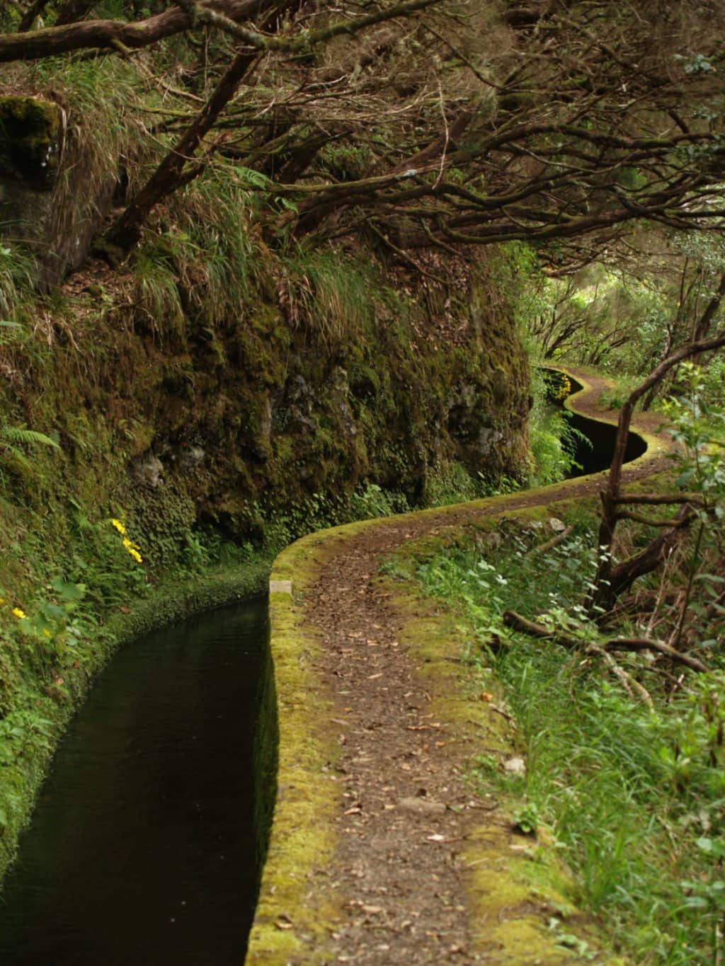 Windmill-Strewn Plains