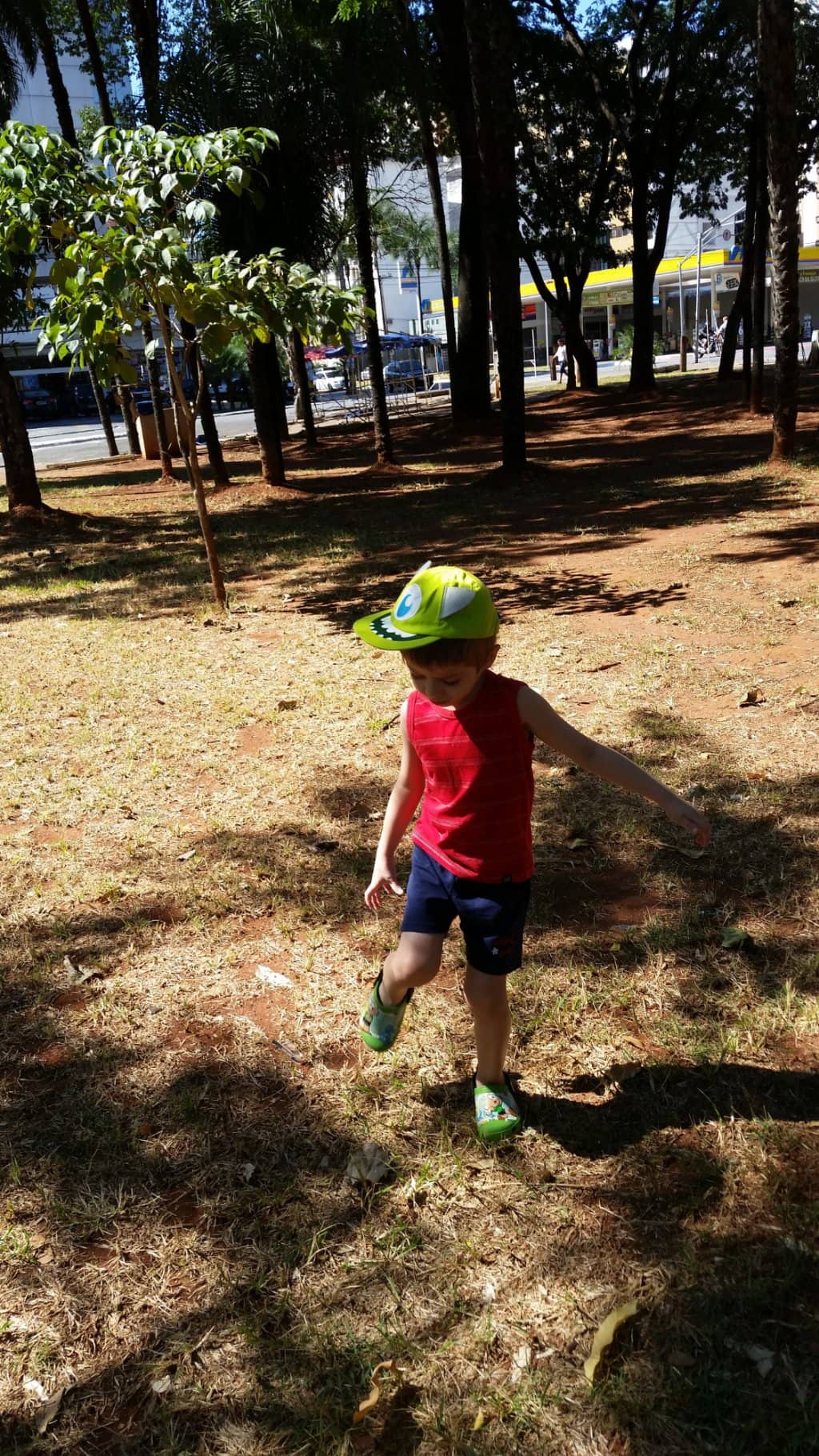 Lush Greenery and Shady Benches