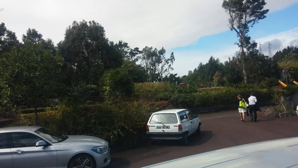 Botanical Area Exploration