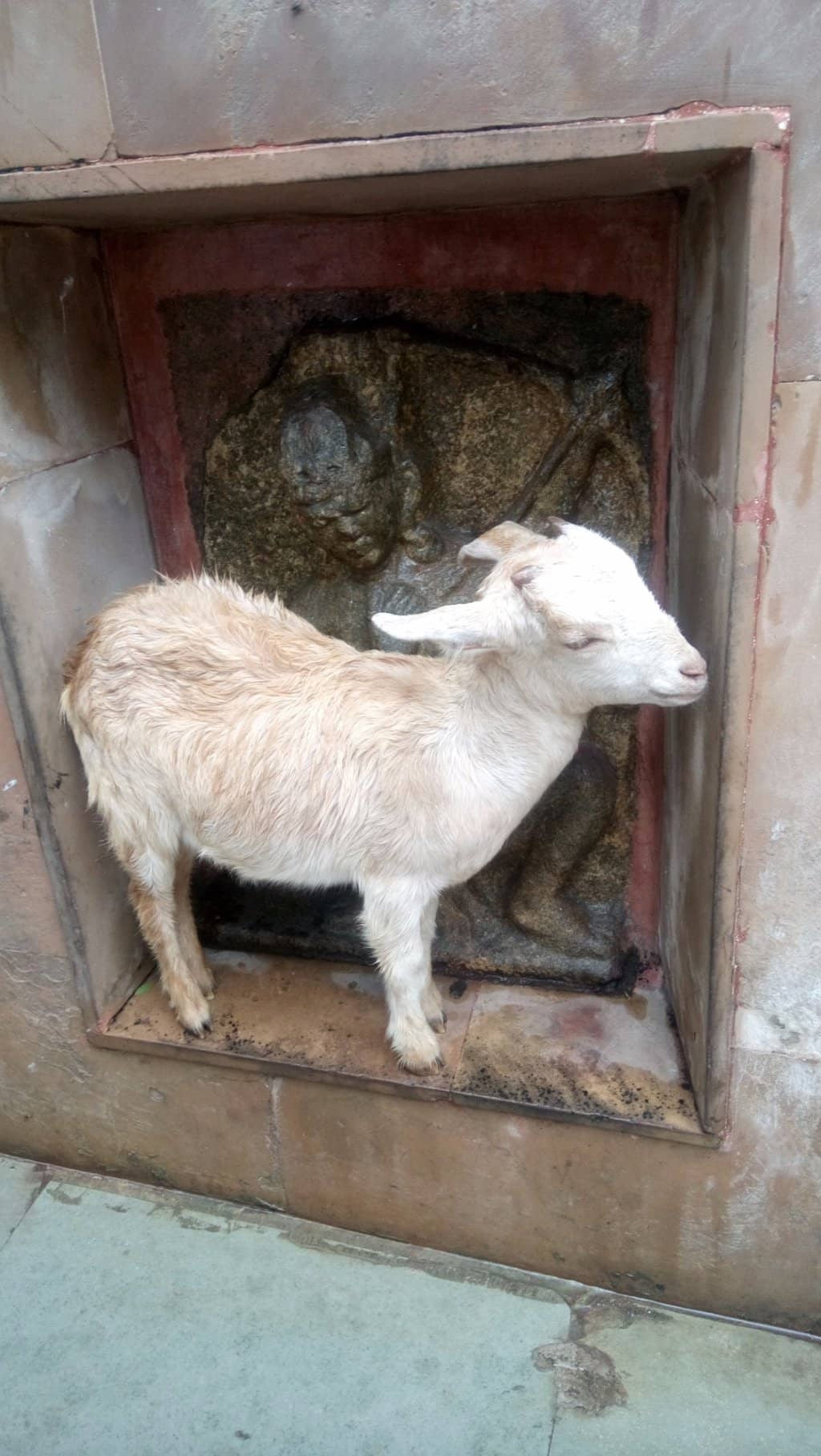 The Yoni Shrine
