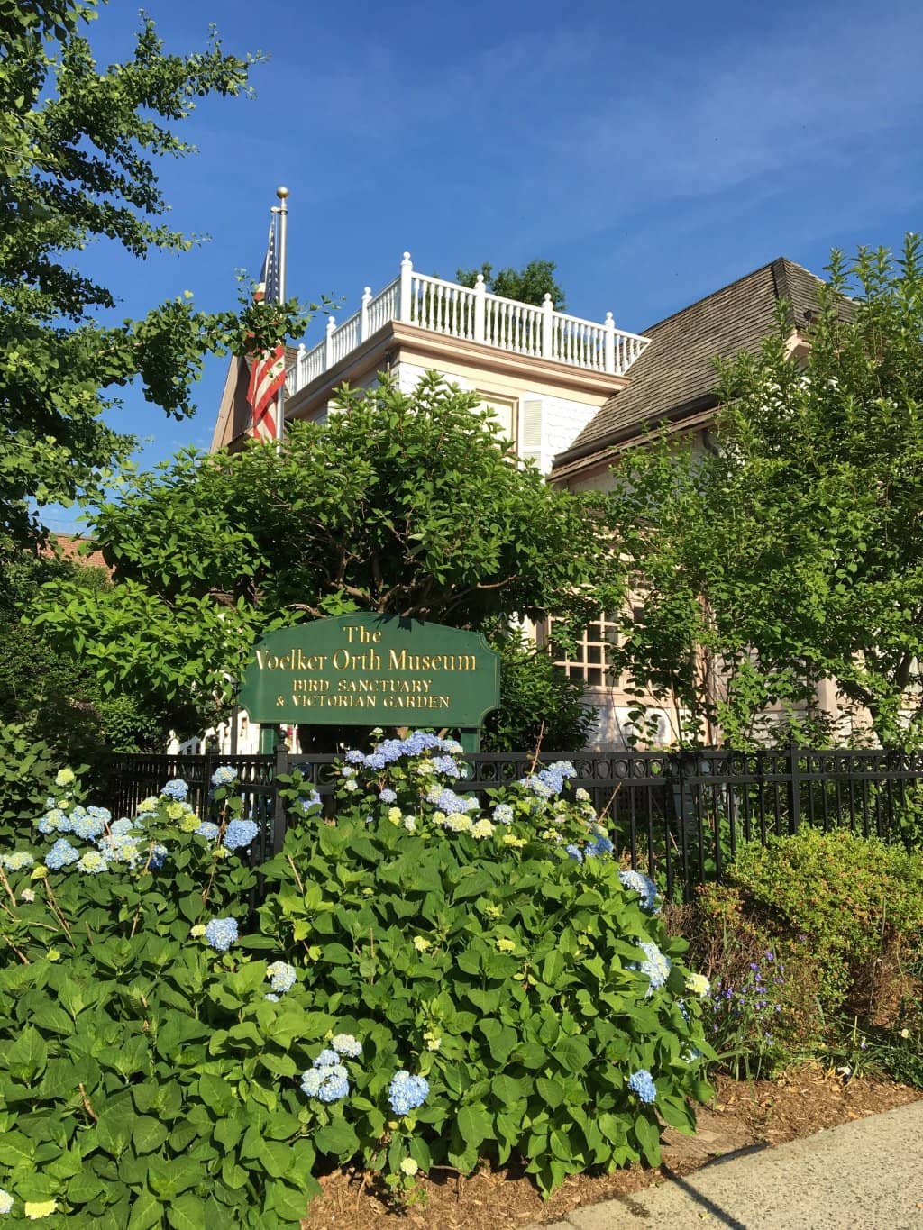 Local Honey & Art Studio