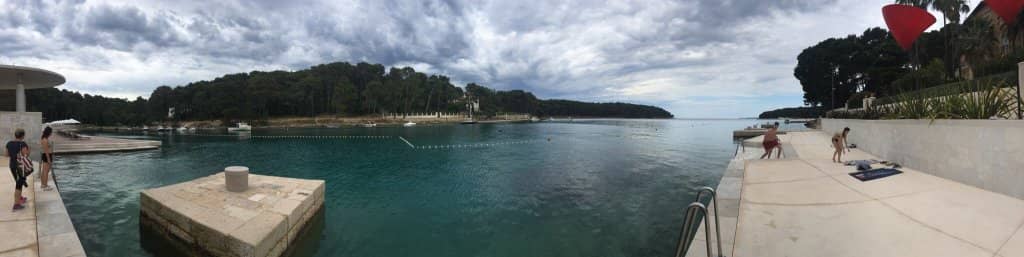 Tranquil Forest Paths