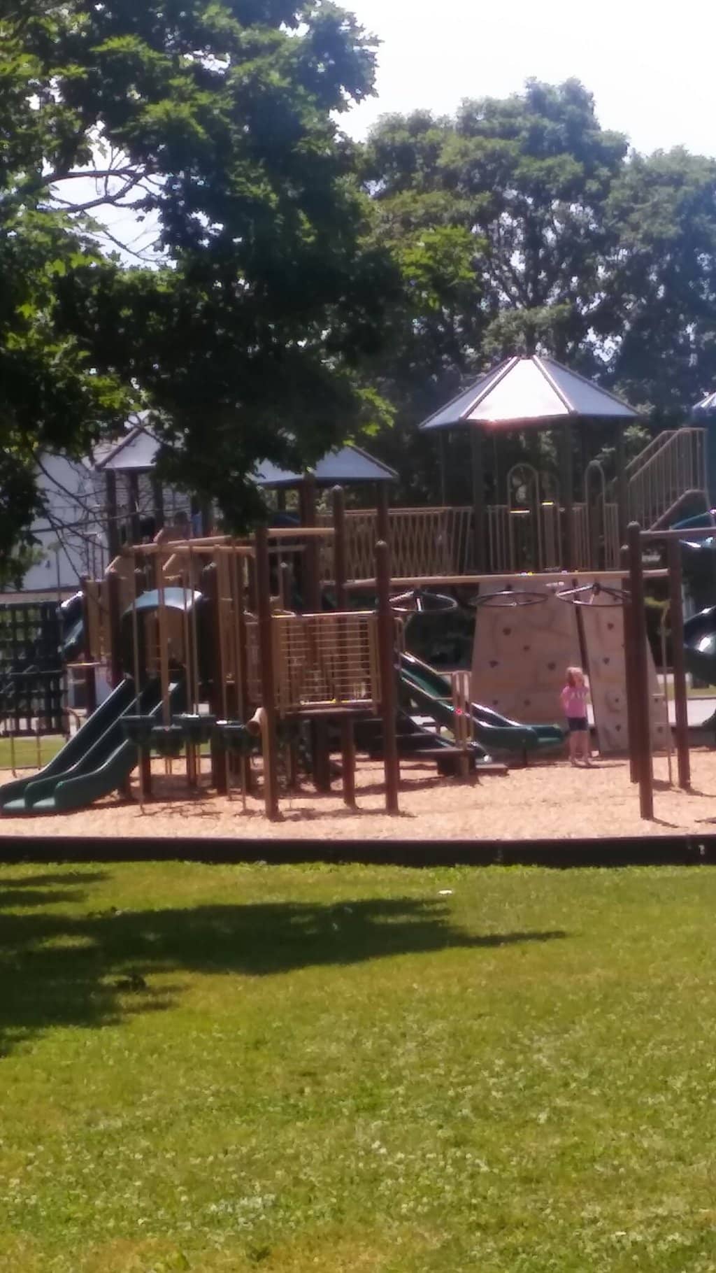 Dog Park Paradise