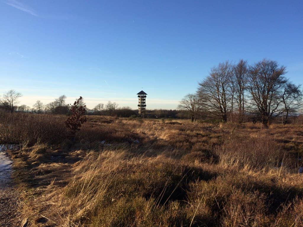Fagne de Malchamps