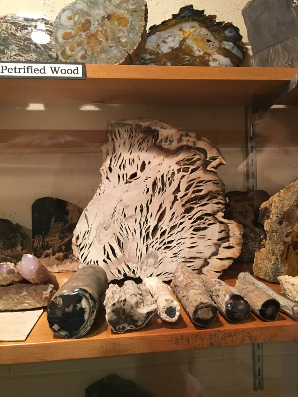 Engaging & Educational Tours