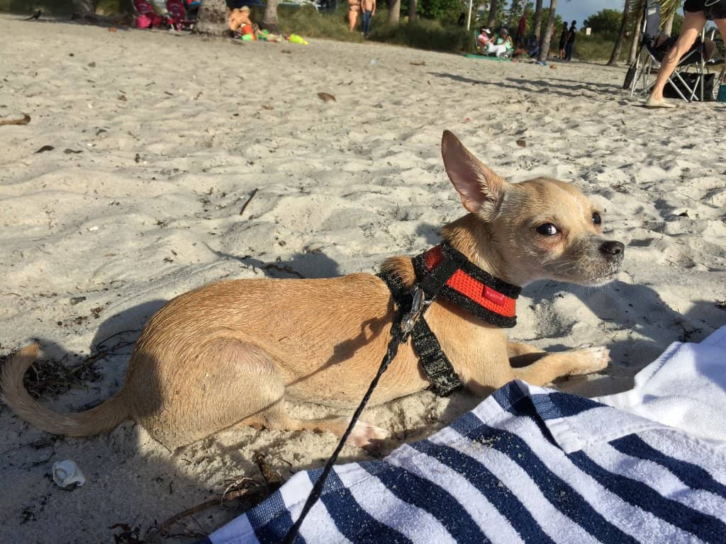 Hobie Island Beach Park