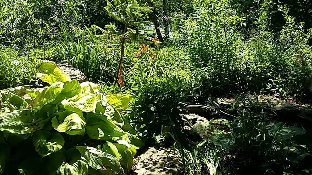 Tranquil Water Features