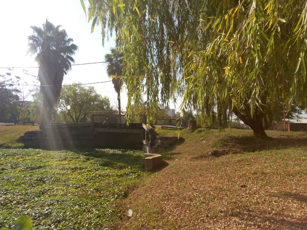Vertical photo