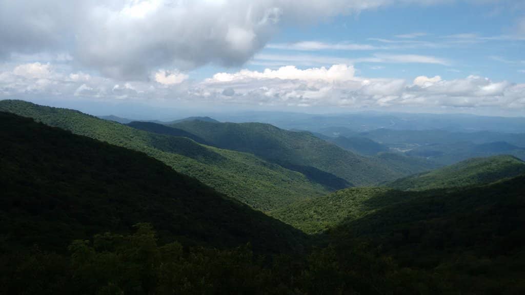 Rhododendron Tunnels
