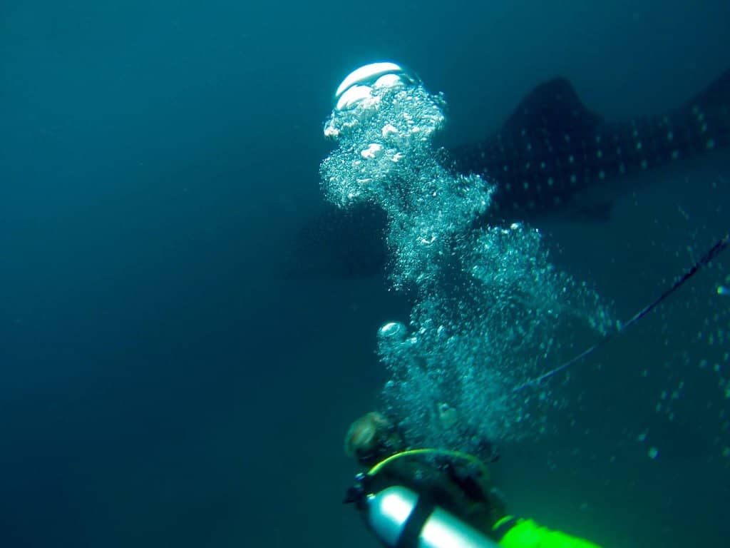 Camia II Shipwreck