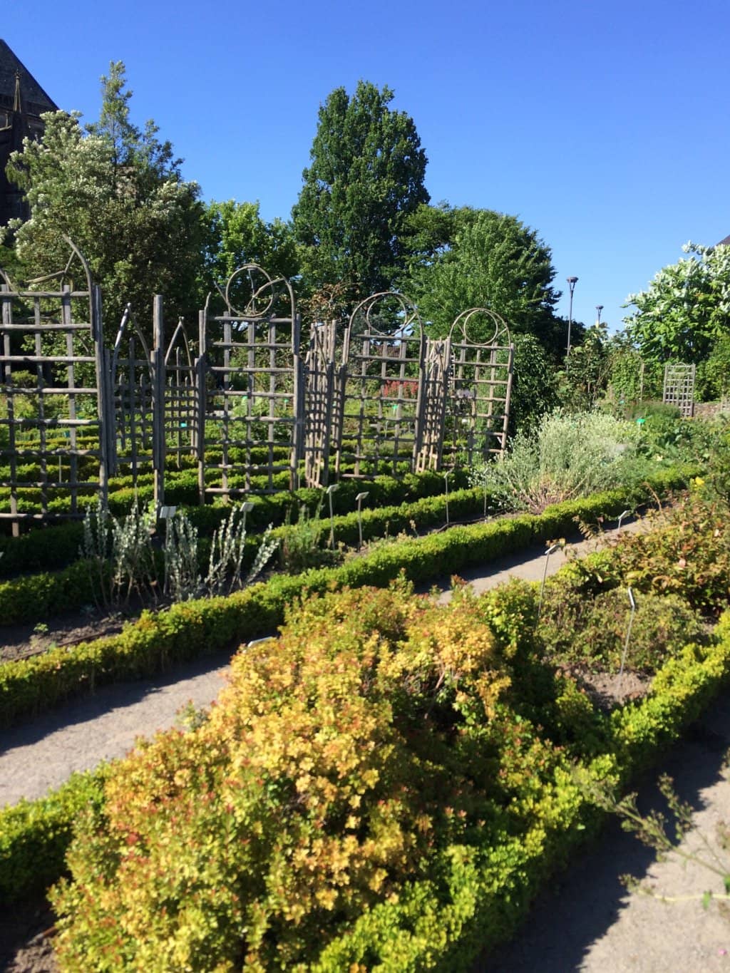 Terraced Plant Displays