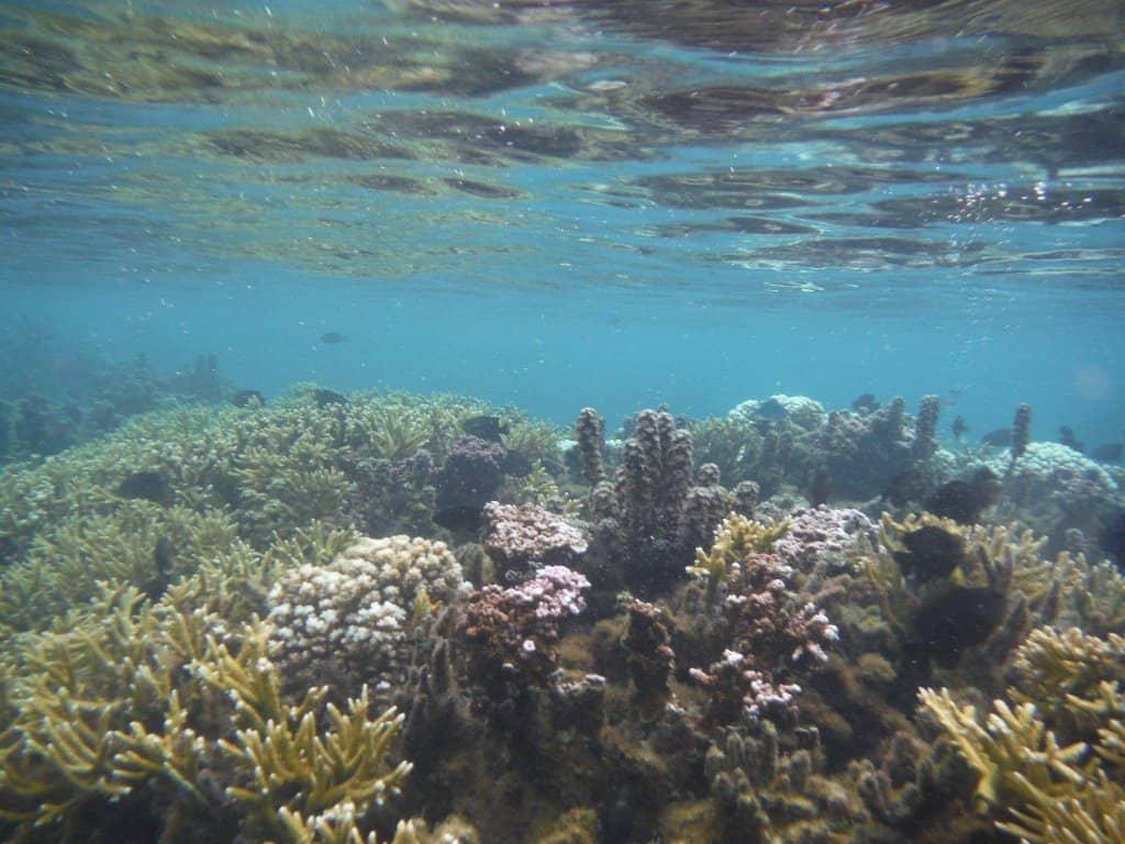 Shipwreck Discovery