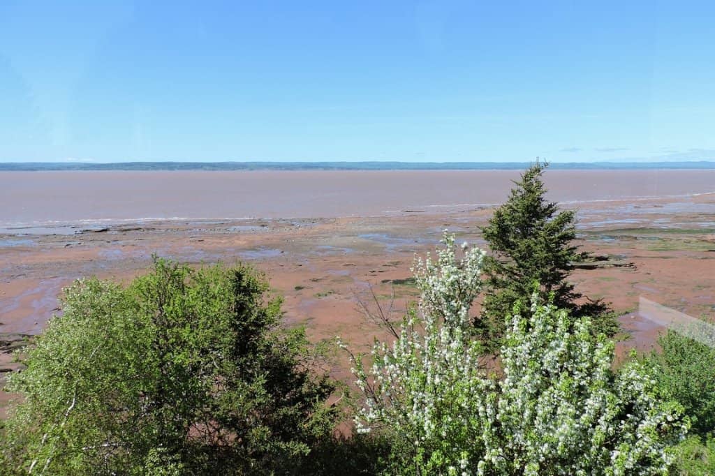 Witness World's Highest Tides