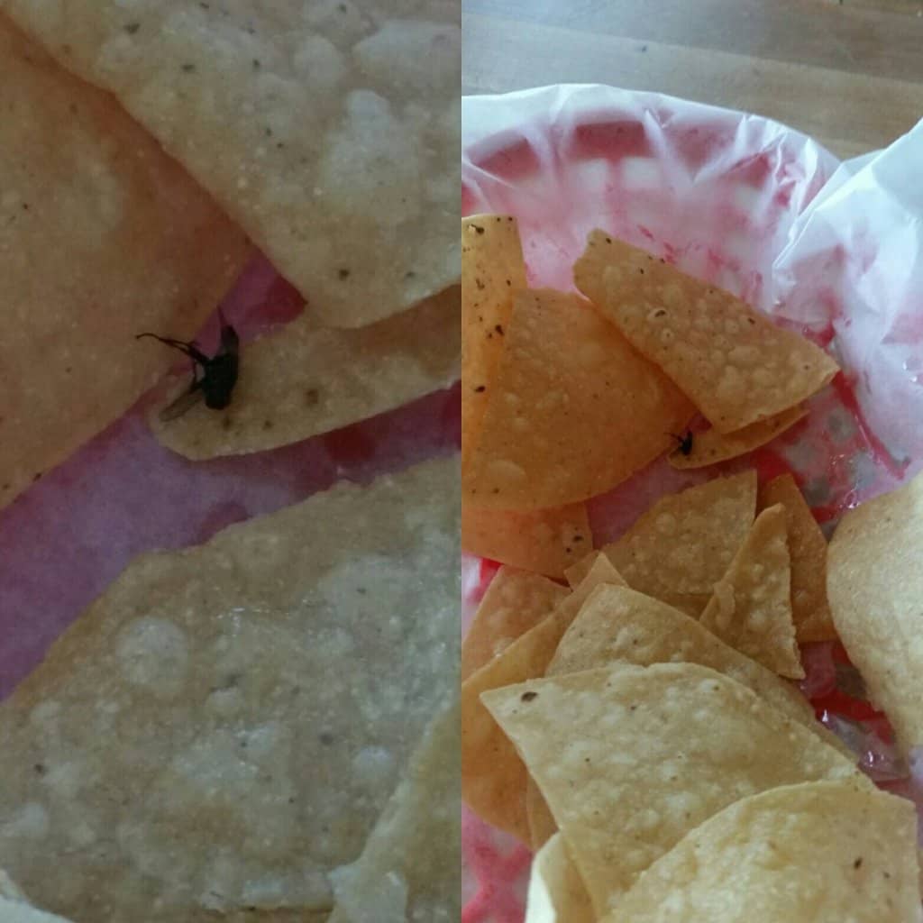 Fresh, Real Margaritas