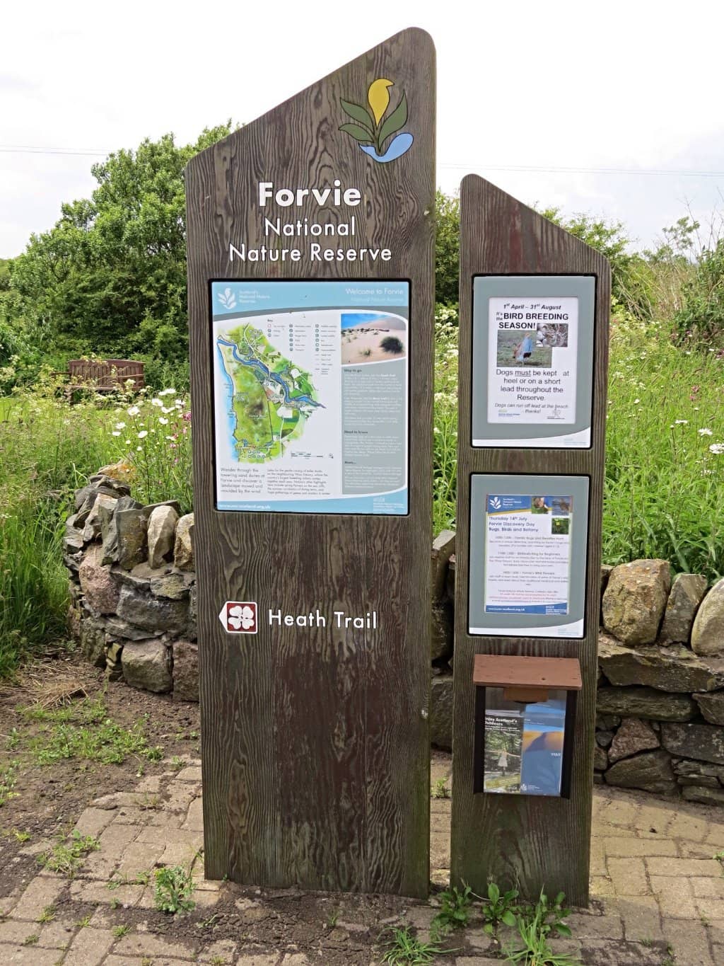 Vertical photo