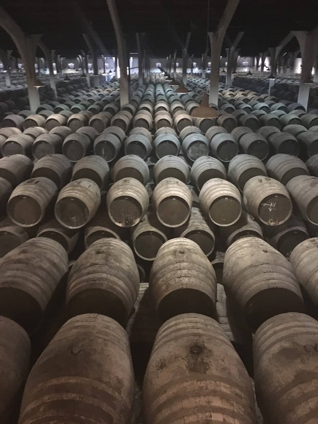 Purebred Horse Stables