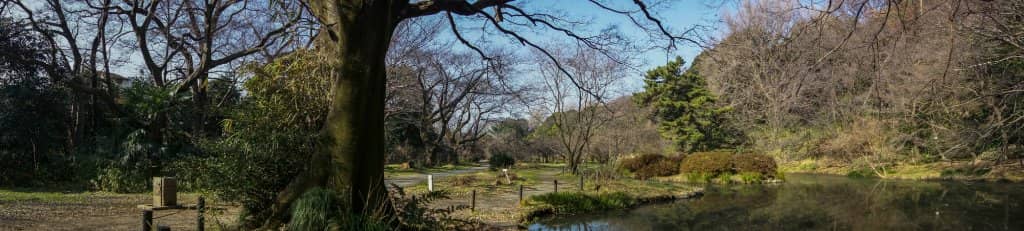 Seasonal Flower Displays